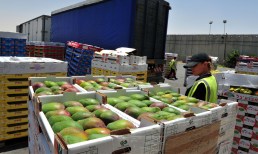 import tariffs